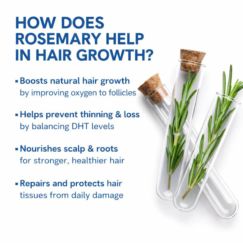 Bodywise Hair Support Roll-On Serum